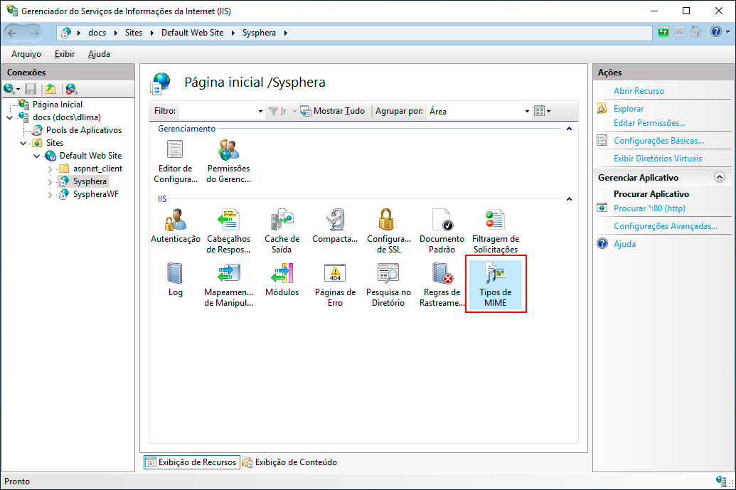 Figure 21 MIME Types