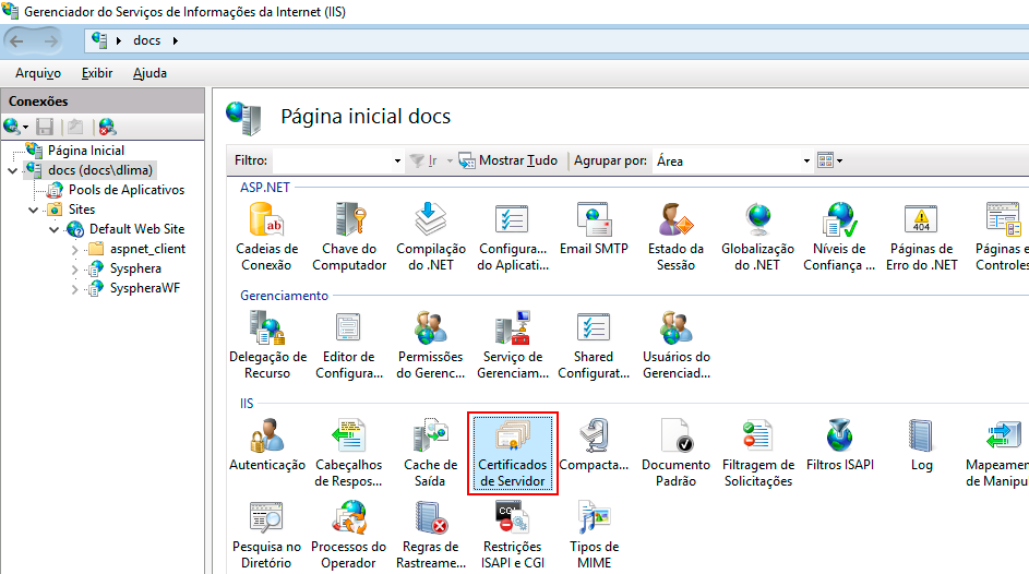 Figura 31 Configuración del Servidor IIS