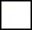 basic-form-19-pt-br.jpg