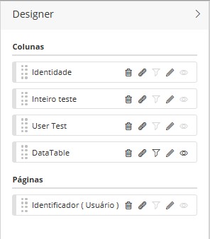 Formulário de dados - Modo de Visualização Painel