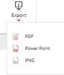 export options