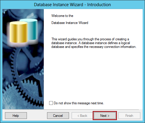 Figura 20: Data Base Instance Wizard